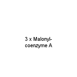 3 x Malonyl-coenzyme A
